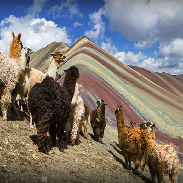 CLP Machupicchu Travel